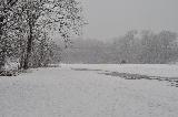 2009-02-24_11-33-21_935.jpg
