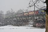 2009-02-24_11-42-42_997.jpg