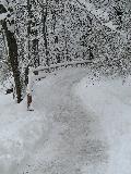 2006-03-05_12-11-46.jpg