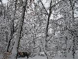 2006-03-05_12-14-20.jpg