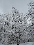 2006-03-05_12-20-46.jpg
