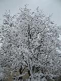 2006-03-05_12-21-11.jpg