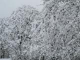 2006-03-05_12-22-23.jpg