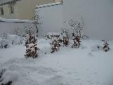 2006-03-06_11-43-22.jpg