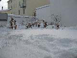 2006-03-06_11-45-02.jpg